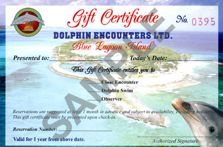 dolphin program gift certificate