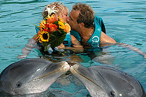 dolphin wedding