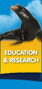 Education and Research