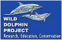 wild dolphin project