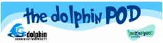 the dolphin pod